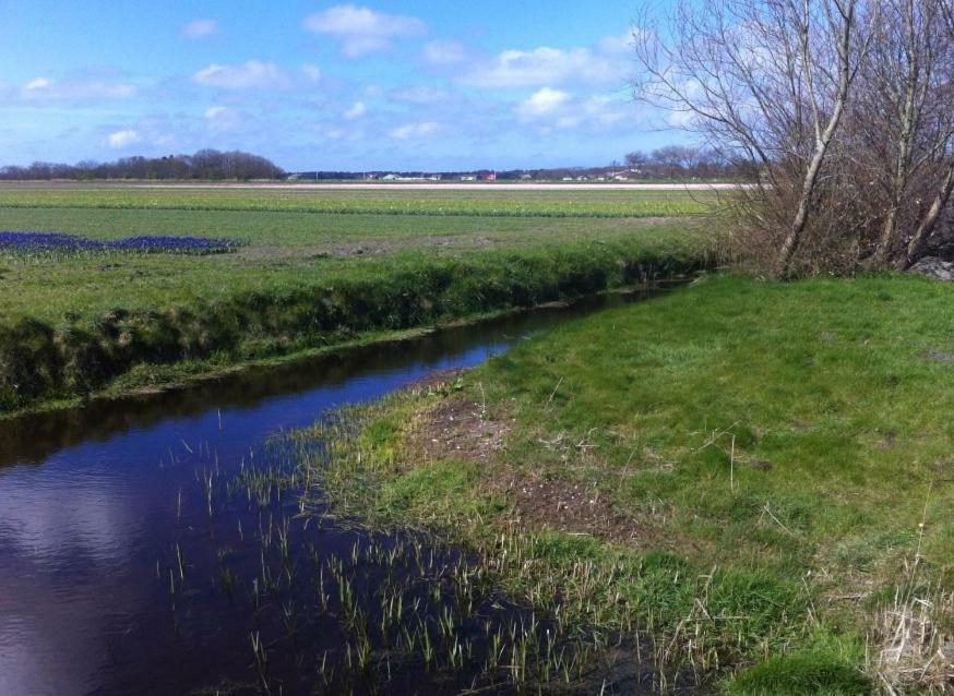 设计木屋 Sint Maartensvlotbrug 外观 照片